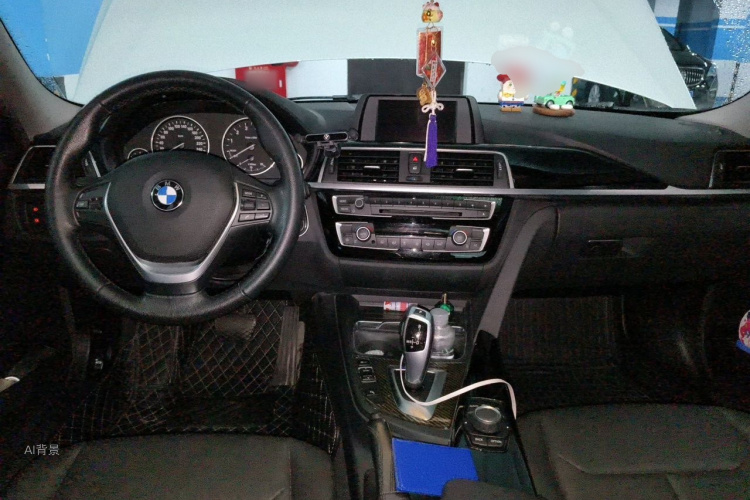 BMW 3 Series 2017 car image #11