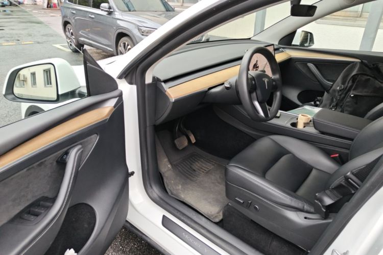Tesla Model Y 2021 car image #16