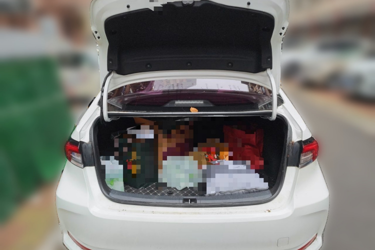 Toyota Corolla 2023 car image #21