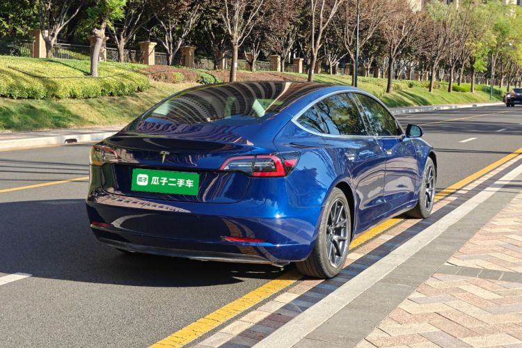 Tesla Model 3 2020 car image #7
