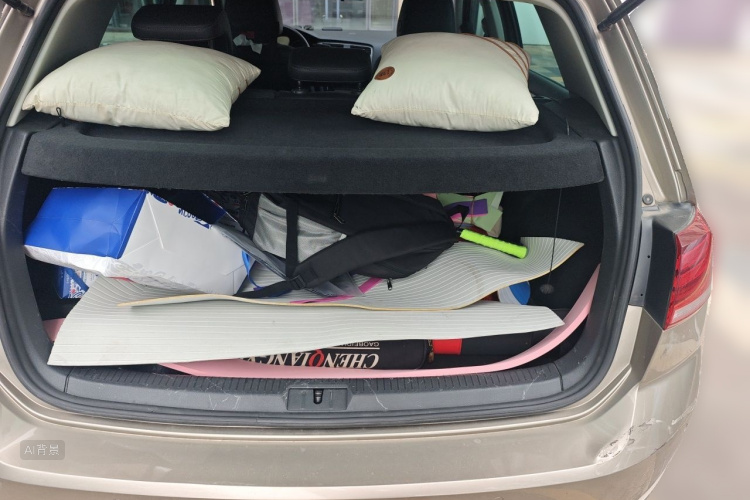 Volkswagen Golf 2019 car image #21