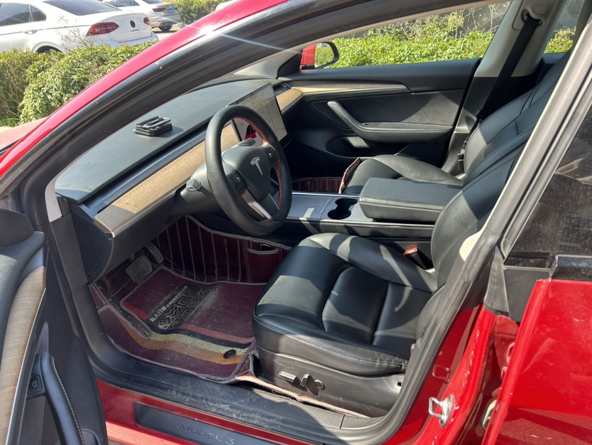 Tesla Model 3 2021 #3 Tesla Model 3 2021 car image #3