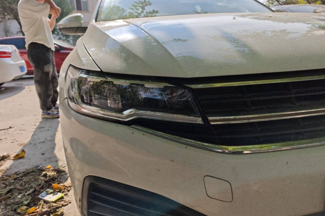 Volkswagen Bora 2020 car image #7