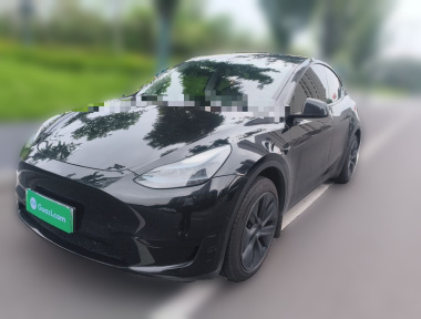 Tesla Model Y 2023 Tesla Model Y 2023 car image