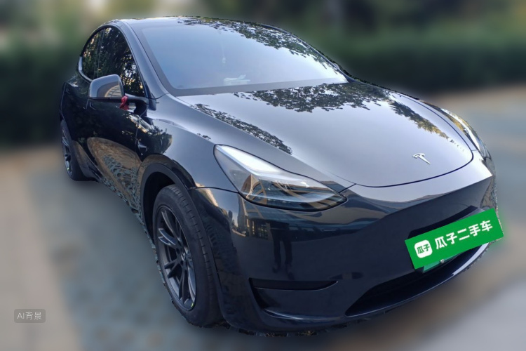 Tesla Model Y 2024 car image #4