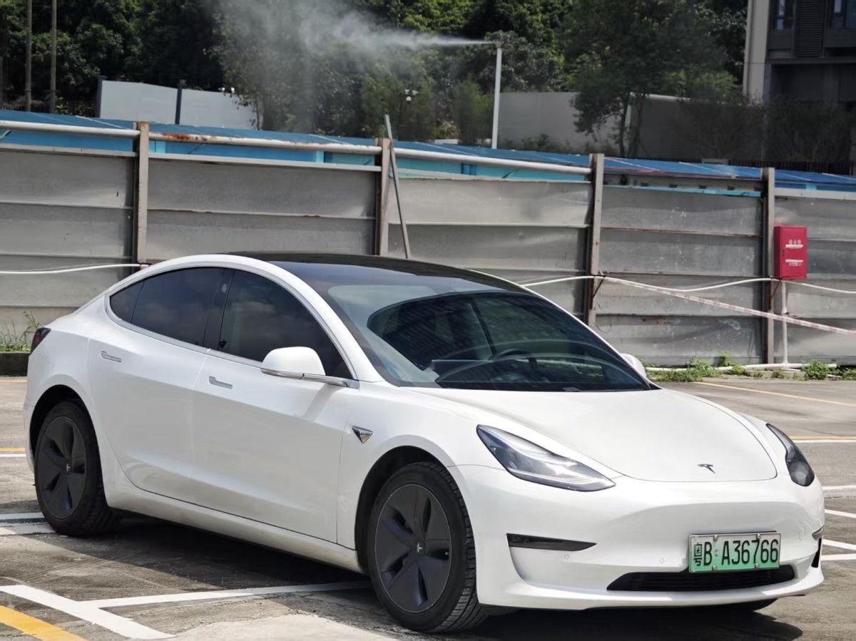Tesla Model 3 2020 car image #3