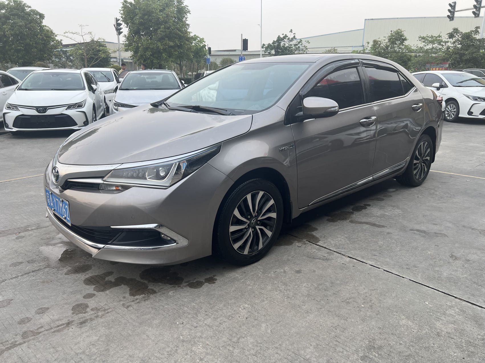 Toyota Corolla 2019 car image 