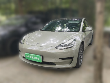 Tesla Model 3 2020 car image 