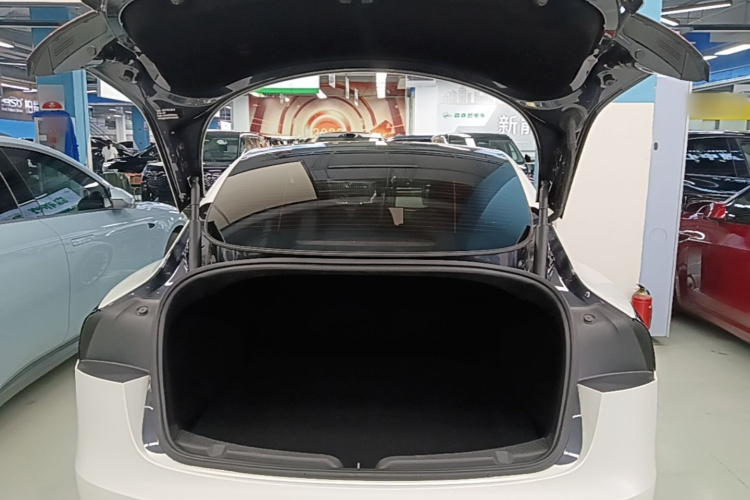 Tesla Model 3 2025 car image #19