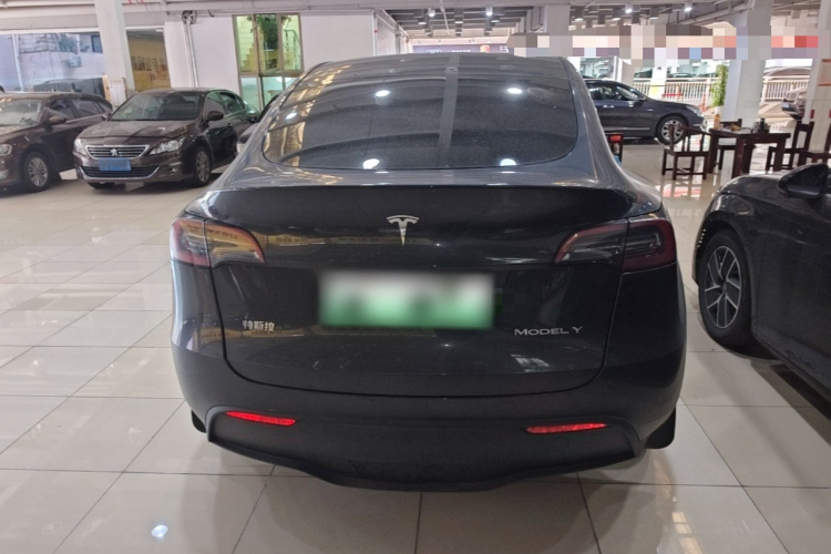 Tesla Model Y 2024 #6 Tesla Model Y 2024 car image #6