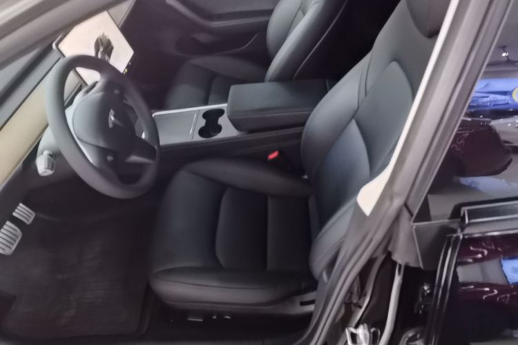 Tesla Model 3 2022 car image #15