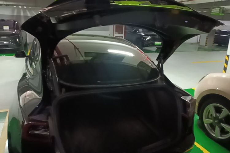 Tesla Model 3 2021 #21 Tesla Model 3 2021 car image #21
