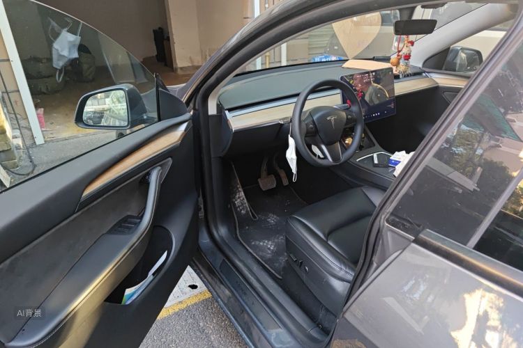 Tesla Model Y 2021 car image #18