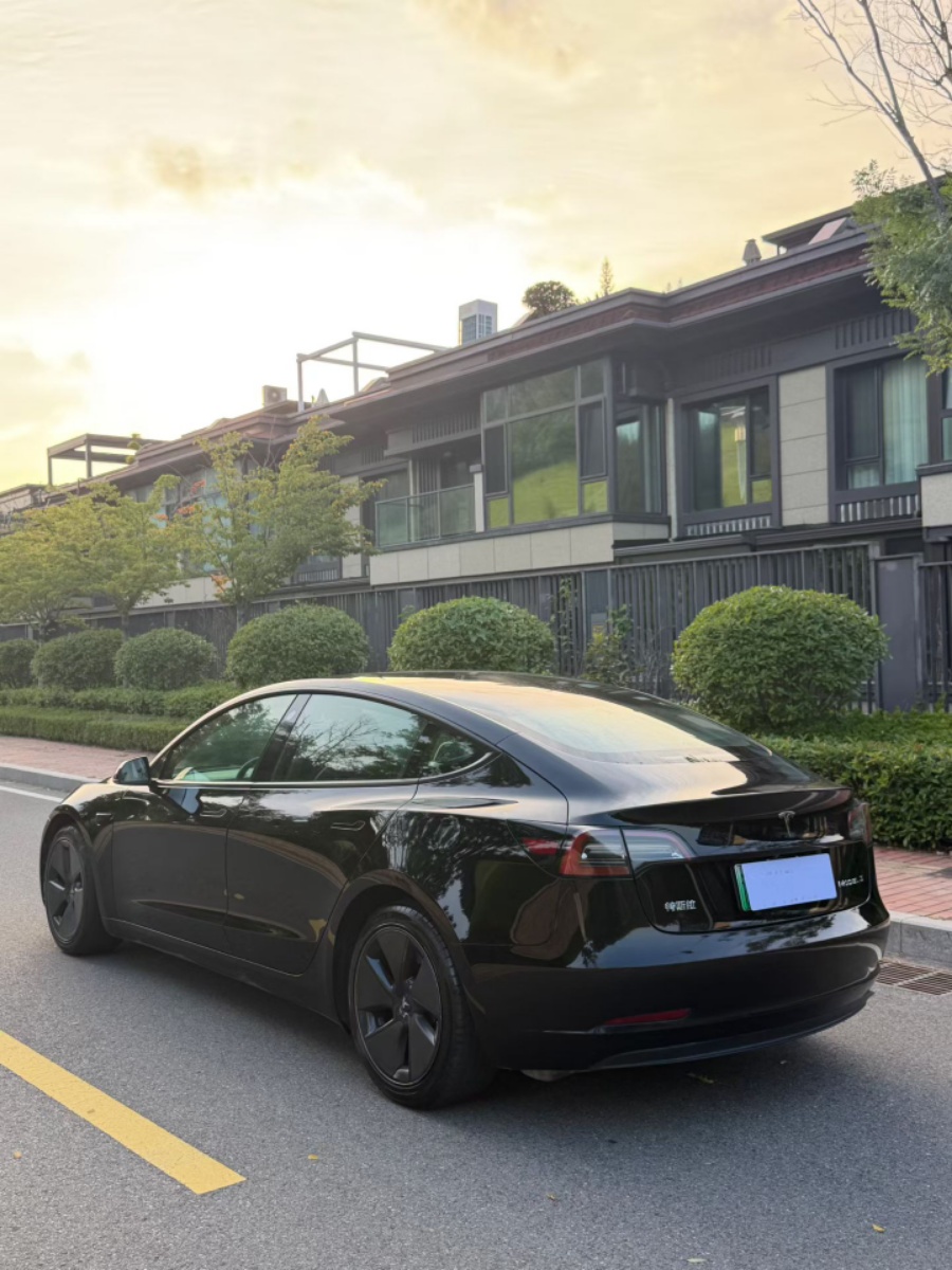 Tesla Model 3 2021 car image #9