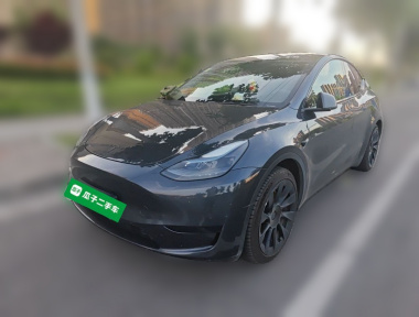 Tesla Model Y 2024 Tesla Model Y 2024 car image