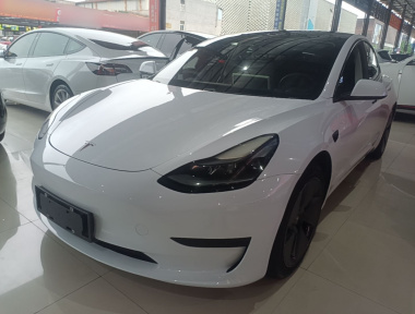 Tesla Model 3 2021 Tesla Model 3 2021 car image