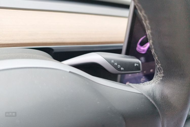 Tesla Model 3 2021 car image #16