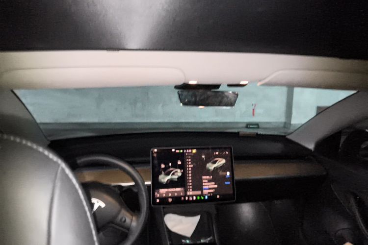 Tesla Model 3 2020 #16 Tesla Model 3 2020 car image #16