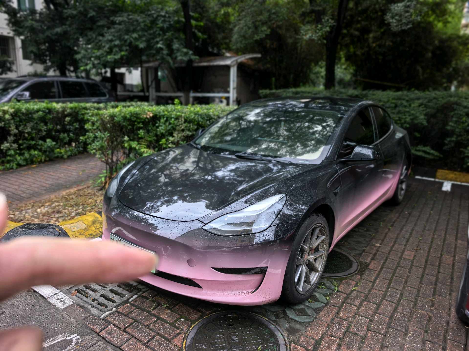 Tesla Model 3 2021 Tesla Model 3 2021 car image