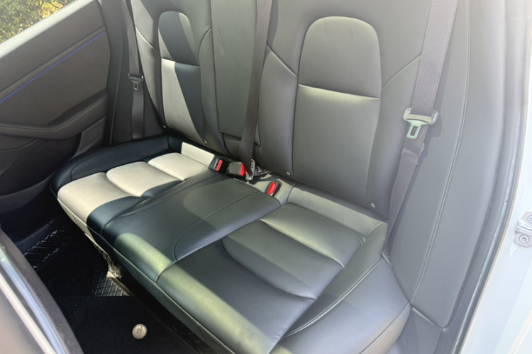 Tesla Model 3 2023 car image #12