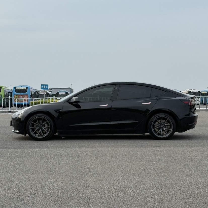 Tesla Model 3 2021 #5 Tesla Model 3 2021 car image #5