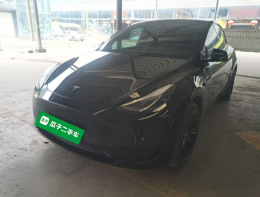 Tesla Model Y 2023 car image 