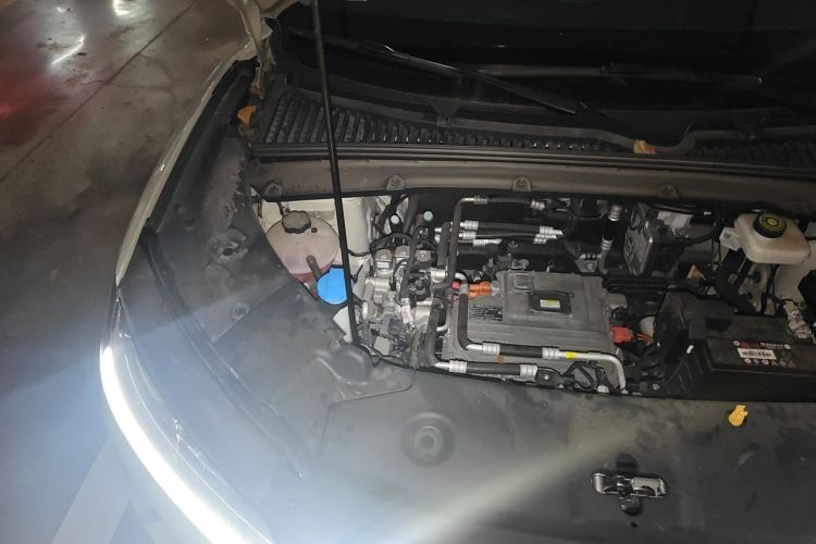 BYD YuanUP 2024 #29 BYD YuanUP 2024 immagine di auto #29