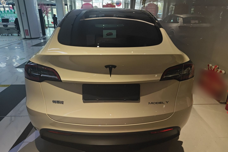 Tesla Model Y 2024 car image #6