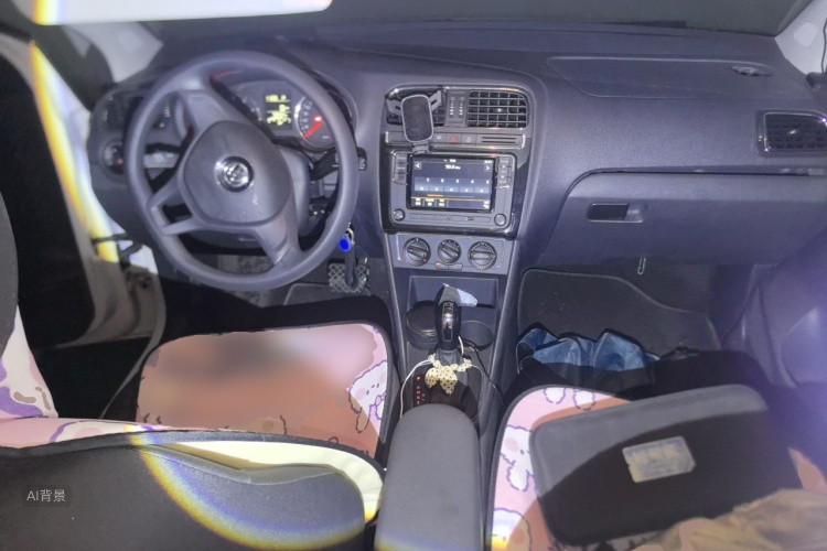 Volkswagen Polo 2014 car image #11