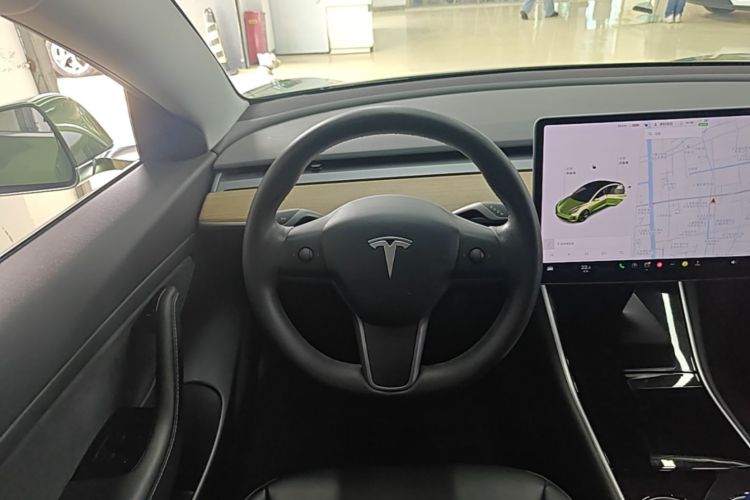 Tesla Model 3 2020 car image #11