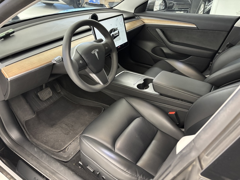 Tesla Model 3 2022 #3 Tesla Model 3 2022 car image #3