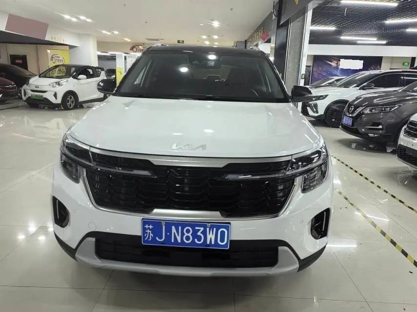 Kia Seltos 2023 imagen de coche #2