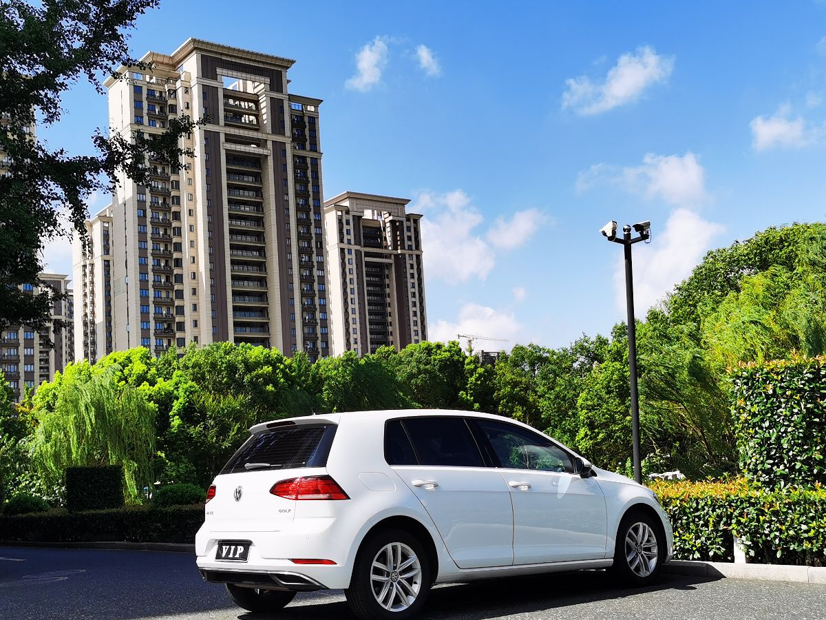 Volkswagen Golf 2019 #5 Volkswagen Golf 2019 car image #5