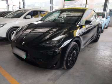 Tesla Model Y 2023 car image 
