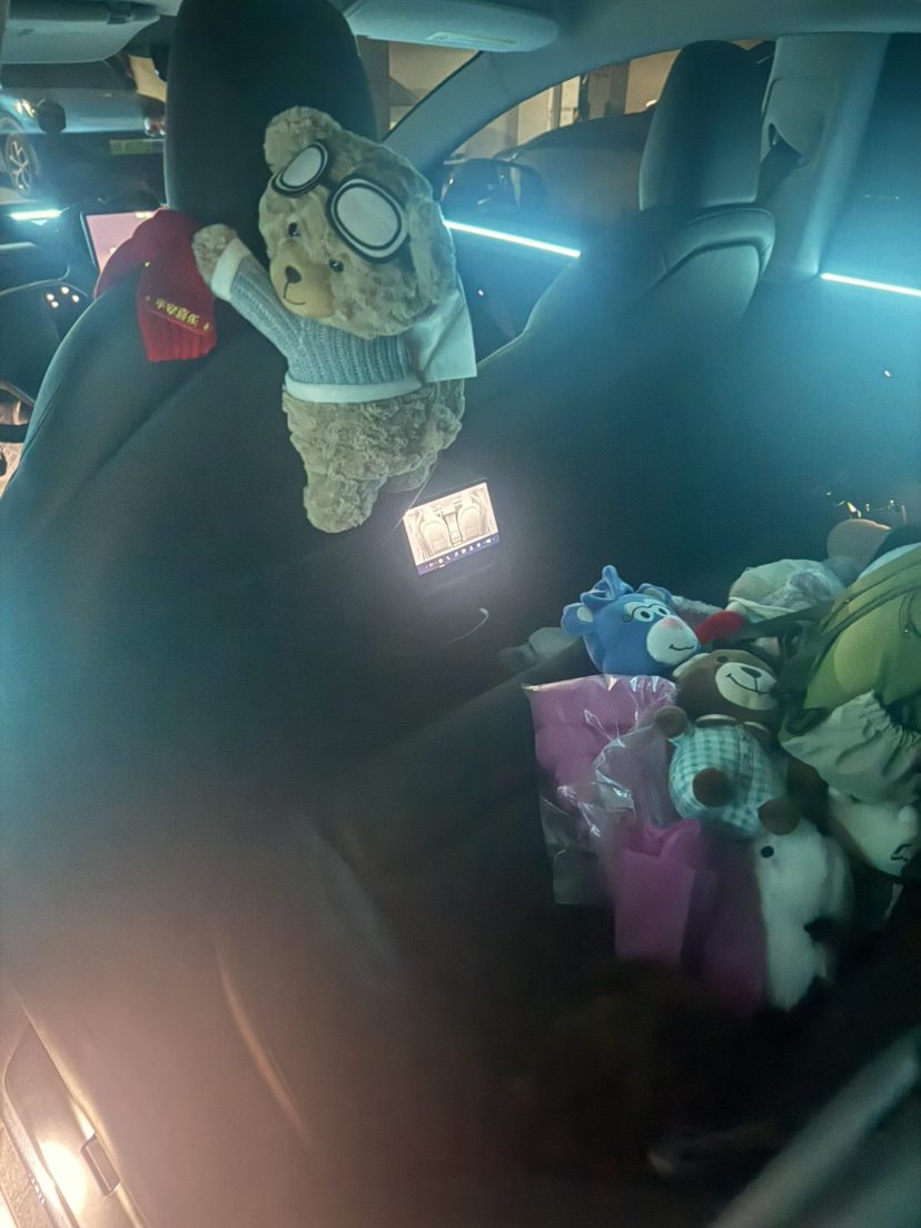 Tesla Model 3 2025 car image #7