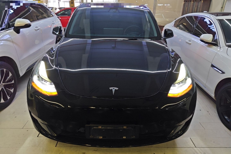 Tesla Model Y 2021 #3 Tesla Model Y 2021 car image #3