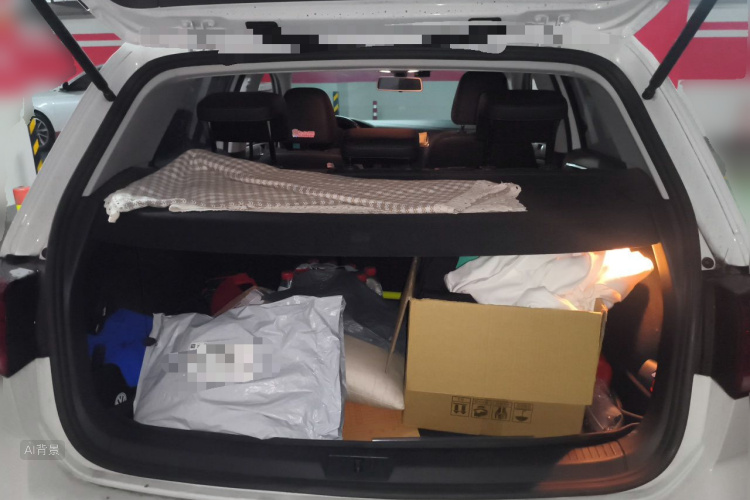 Volkswagen Golf 2020 car image #21