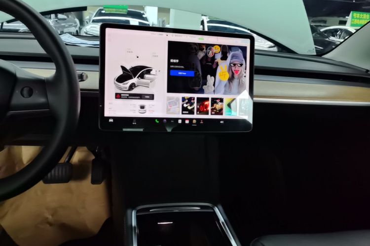 Tesla Model 3 2023 car image #13