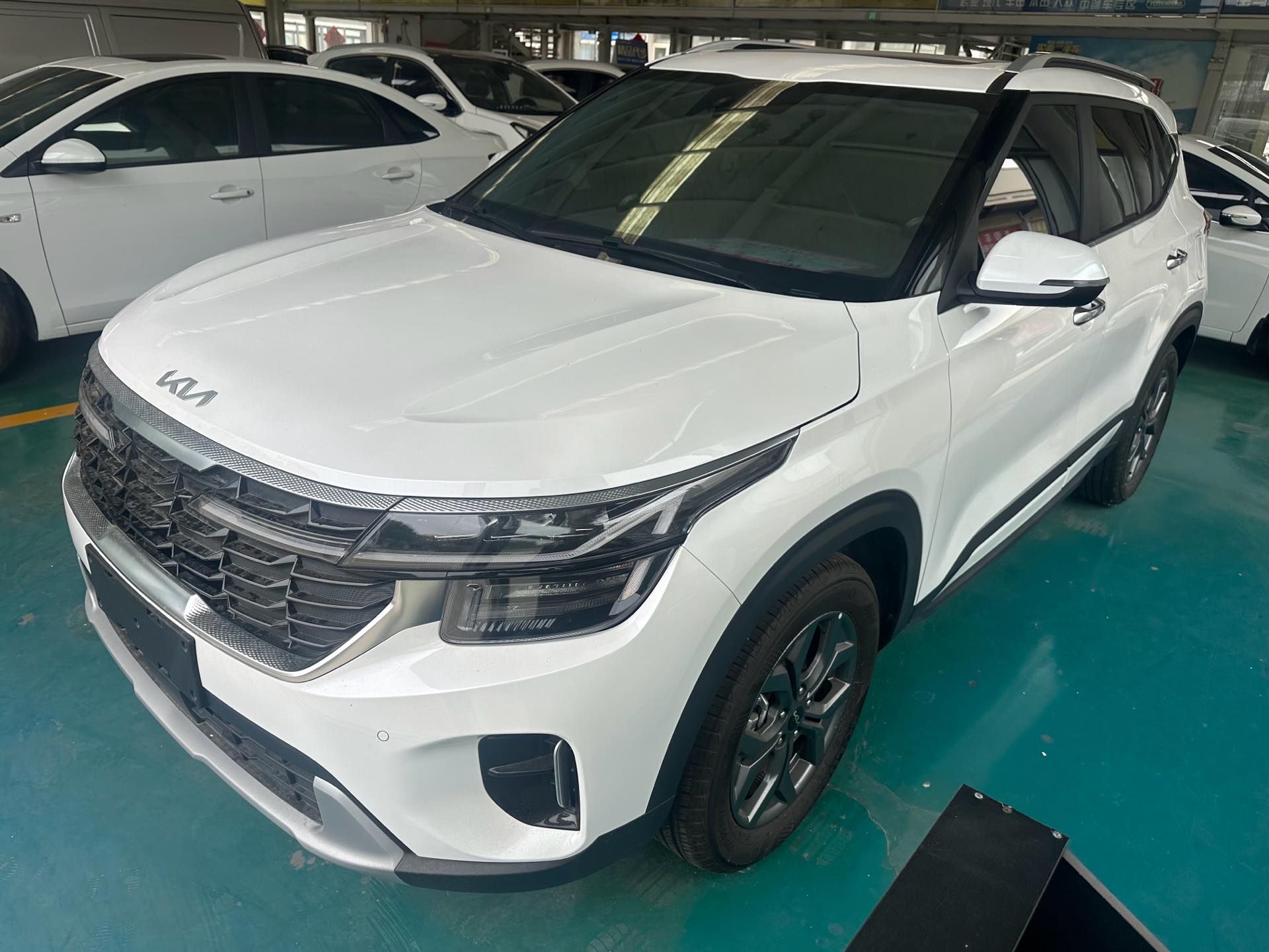 Kia Seltos 2025 car image 