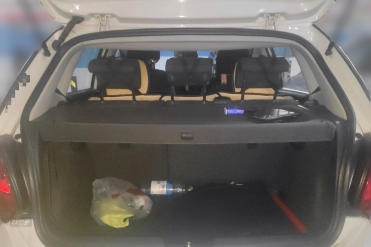 Volkswagen Polo 2014 car image #21