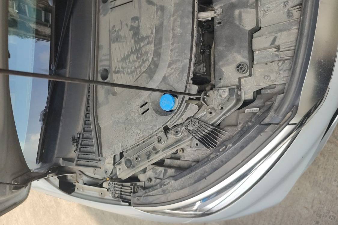 BYD Yuan Plus 2022 صورة سيارة #11