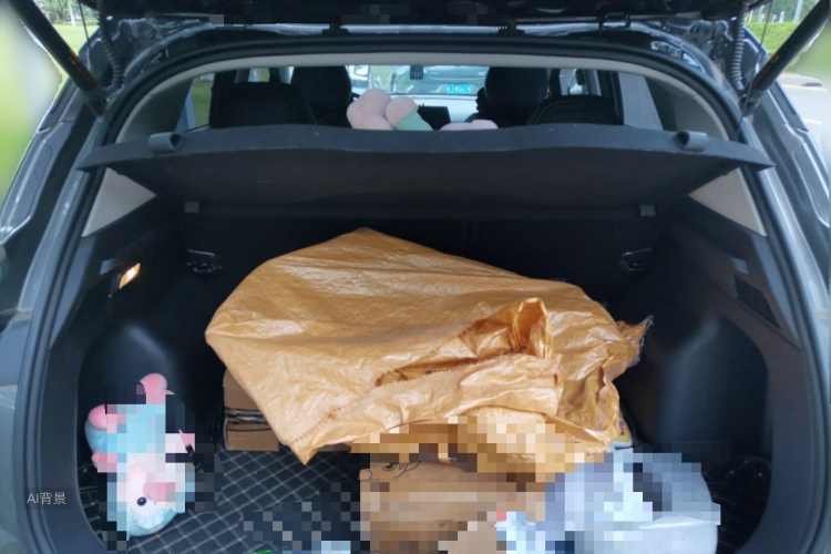 GEELY Coolray 2023 car image #21
