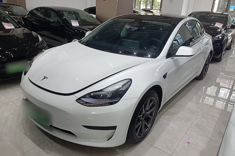 Tesla Model 3 2021 #2 Tesla Model 3 2021 car image #2