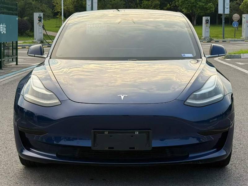 Tesla Model 3 2020 car image 