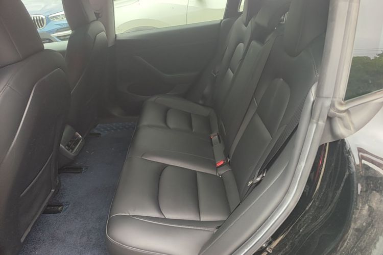 Tesla Model 3 2021 car image #17