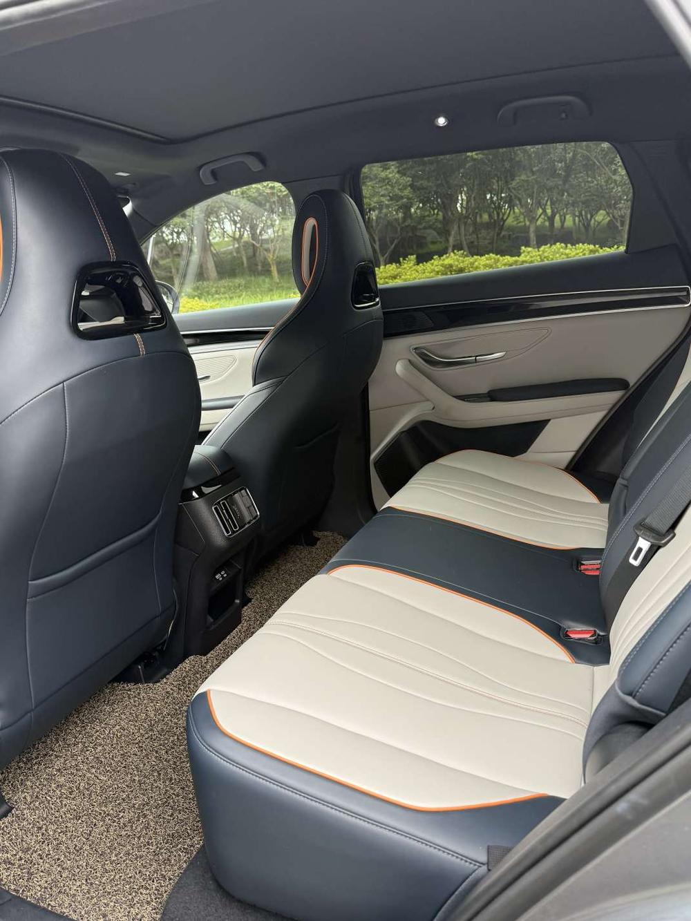 BYD Song Plus New Energy 2024 immagine di auto #8