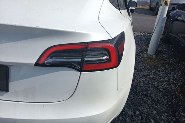 Tesla Model 3 2021 car image #8