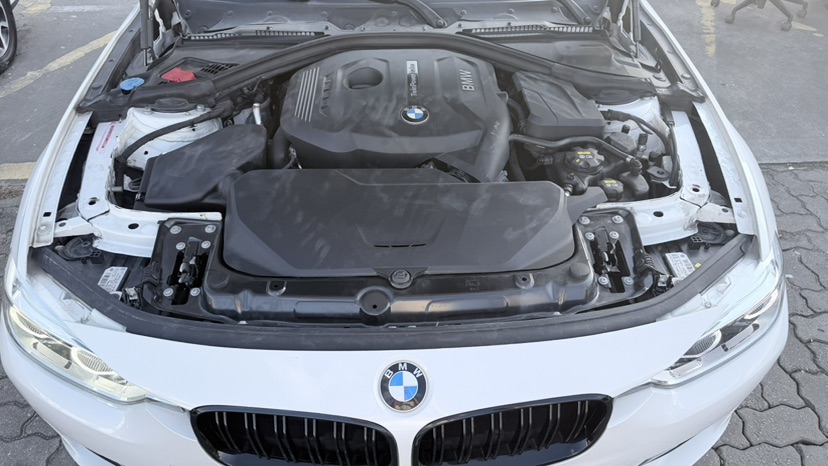 BMW 3 Series 2018 car image #10