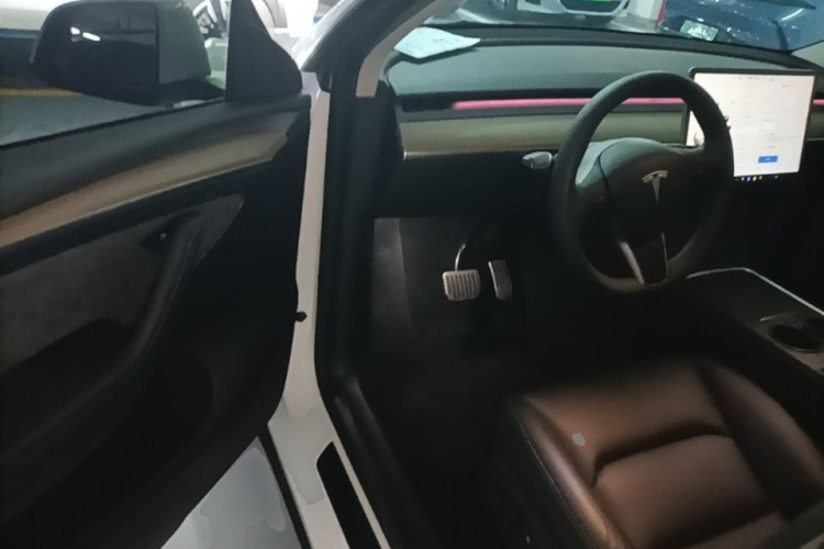 Tesla Model Y 2022 car image #16