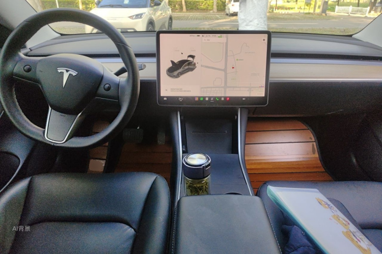 Tesla Model 3 2020 car image #11